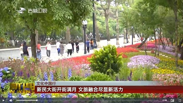 文化中国行丨新民大街开街满月 文旅融合尽显新活力