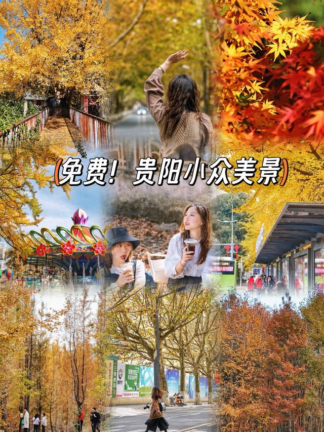 🌲别再去观山湖公园挤了！这9个小众地同样美到爆