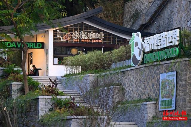 周末开园！抢到福州熊猫世界门票的幸运儿已出现