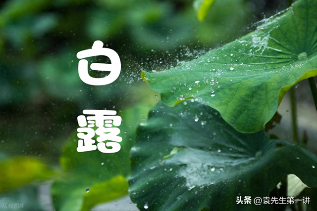 “冷不冷，就看白露”，今日白露，今年冬天会很冷吗？看农谚咋说