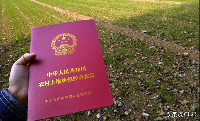 中央定调：10月1日起，农村基本农田将迎来新禁令，涉及家家户户