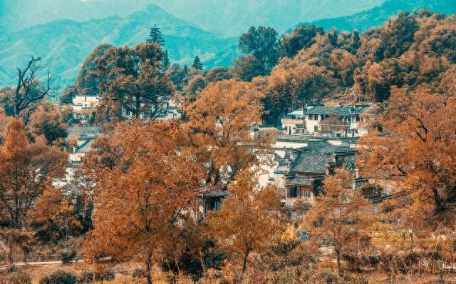 秋染徽州：漫步塔川红叶与水墨古村的十一月光阴