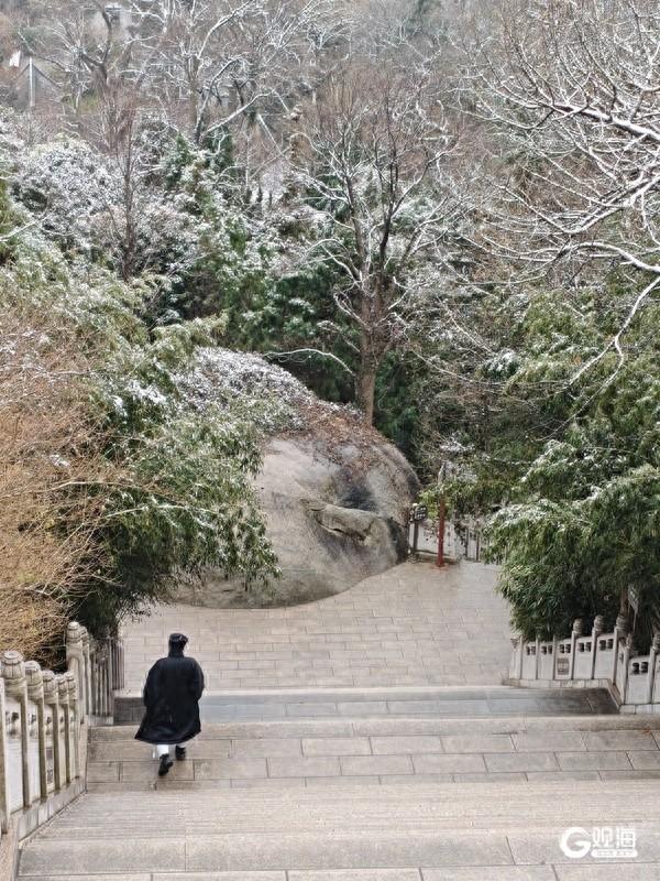 生肖属“马”的游客有福了！2026年春节期间（2月15日至23日）免票游崂山