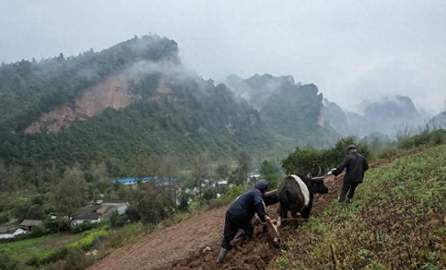 云南山中出现“野人”，高达1.75米，警方抓获后激动不已