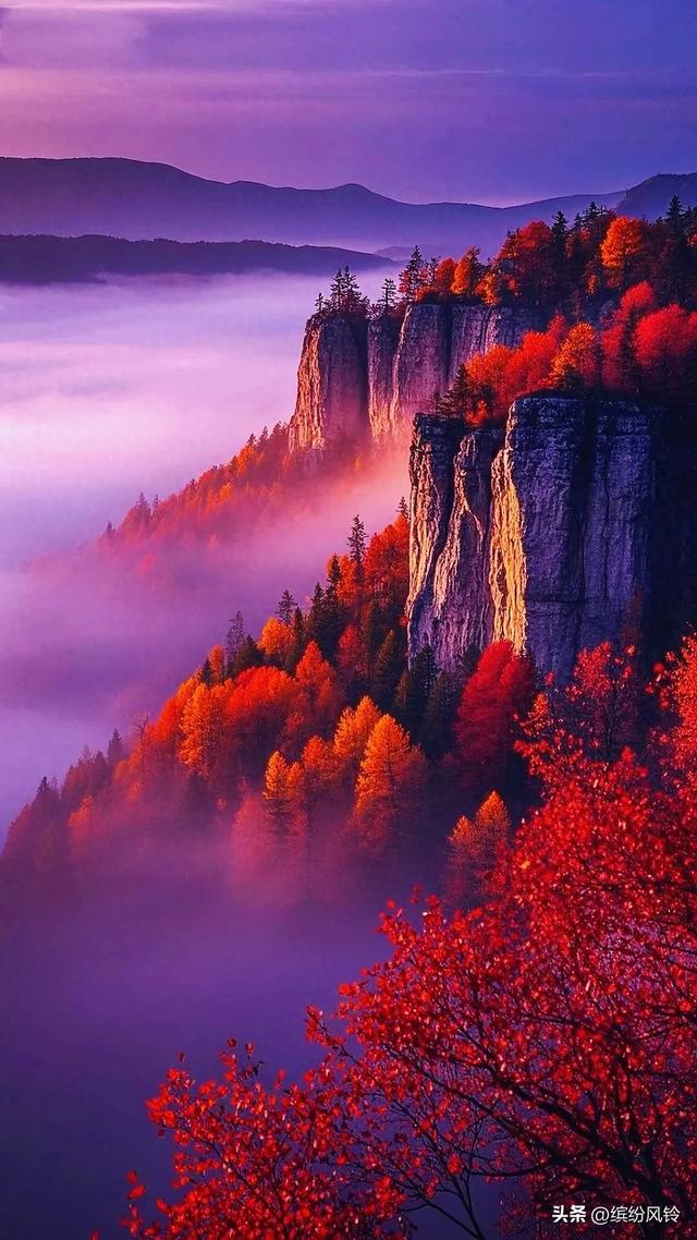 秋山泼彩如染，崖间枫红似火