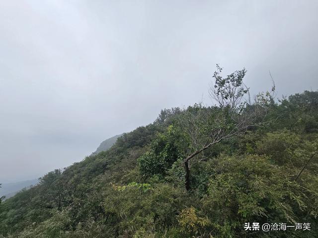 向往大山，向大山出发，天然氧吧，一路向上，无畏无惧，一起吧