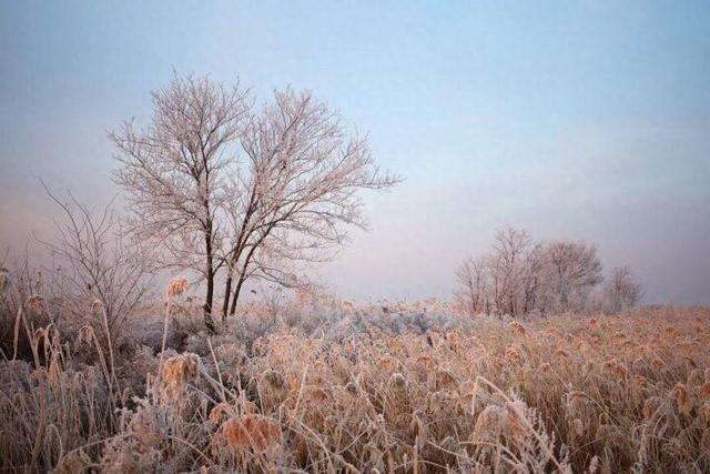 大雪时节台安雾凇绽放 绝美风光引客打卡