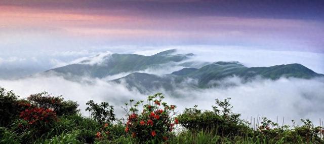 广西贺州姑婆山旅游度假区：走出一条绿色发展的“蝶变”之路