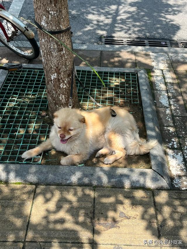 南昌大士院，国庆旅游一定要来的美食街