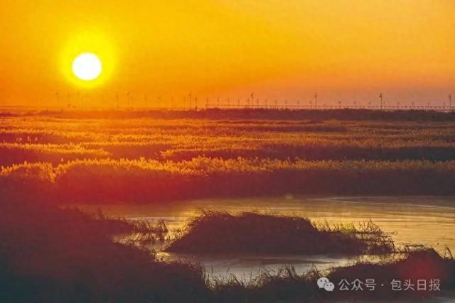 名人纷至沓来 也是城市发展的信号