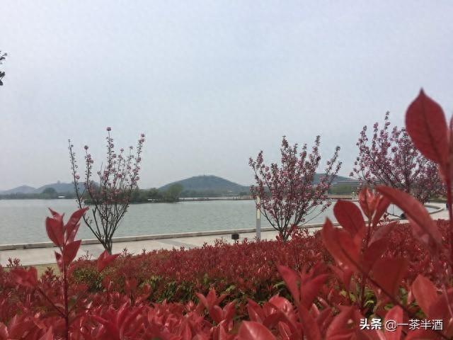 免费营地：江苏徐州市自驾游免费停车露营地、好玩景点、特色美食