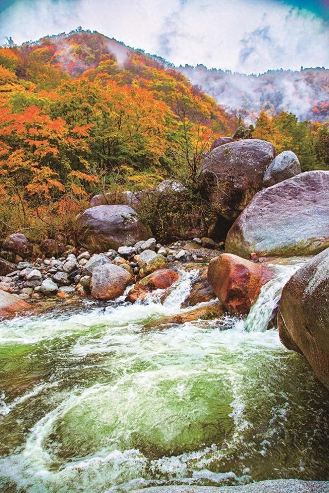广元不远 周末优选 | 秋天的第一场旅行，坐高铁来广元“晒”秋吧！