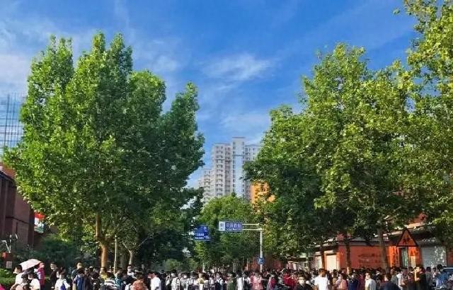 教育部动真格了	。新规明确：小学一至六年级	，全面取消跨校联考