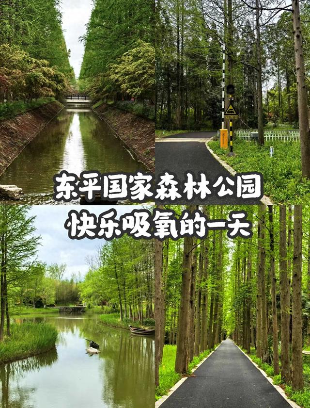 上海人的周末逃离计划！崇明岛2天1晚玩法，吸氧、赏花、吃湖鲜！