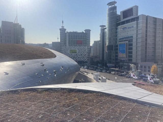 漫步云端感受首尔 DDP屋顶之旅全线开放中