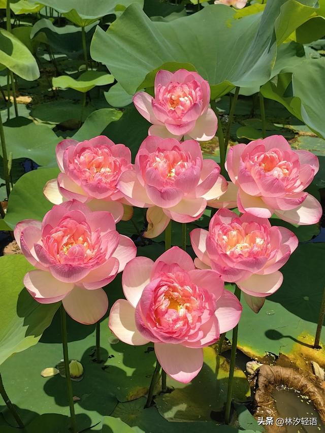 两性关系：女人多大岁数，就不想男人了，过来人告诉你答案