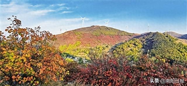 镇平“红叶”续写文旅新画卷 秋来杏花山，姹紫嫣红煞是惊艳