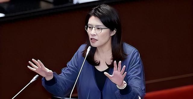 大陆话音刚落，郑丽文下挑战书，民进党连抓13人，沈富雄一针见血