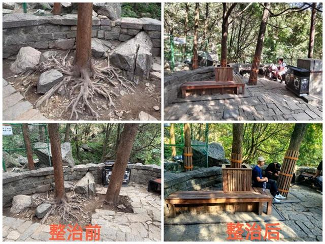 泰山十二连盘休息区焕新，微景观改造让登山休憩更舒适
