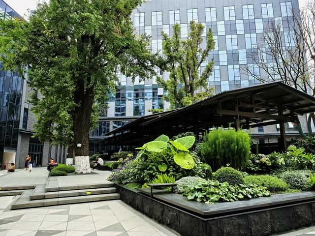 成都城市更新再上新 宽窄巷子片区再添一打卡点