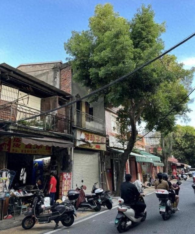 福建泉州：跨年神秘之旅，1300年古城的矛盾与烟火气