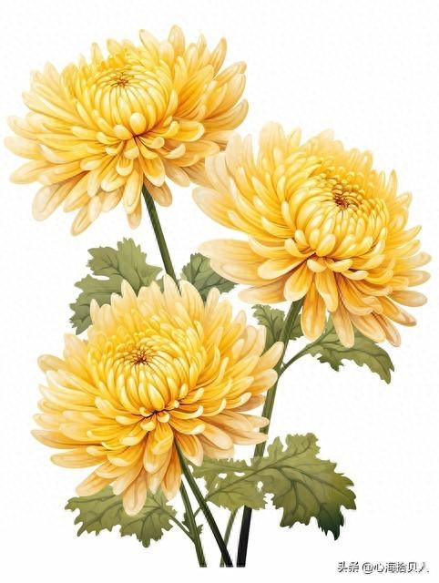 今日爆款文章：《你缺的不是时间	，而是心的归处》