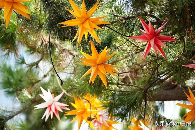 秋色浓度超标！汉中这座小城值得奔赴！