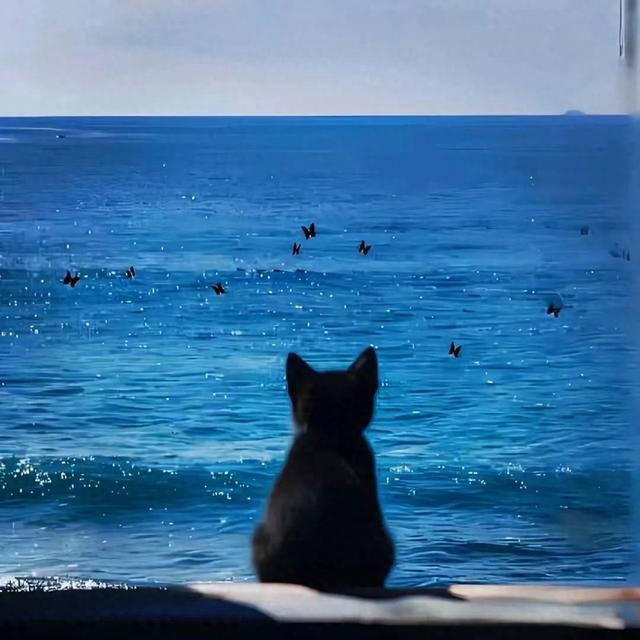emo时想换的头像~