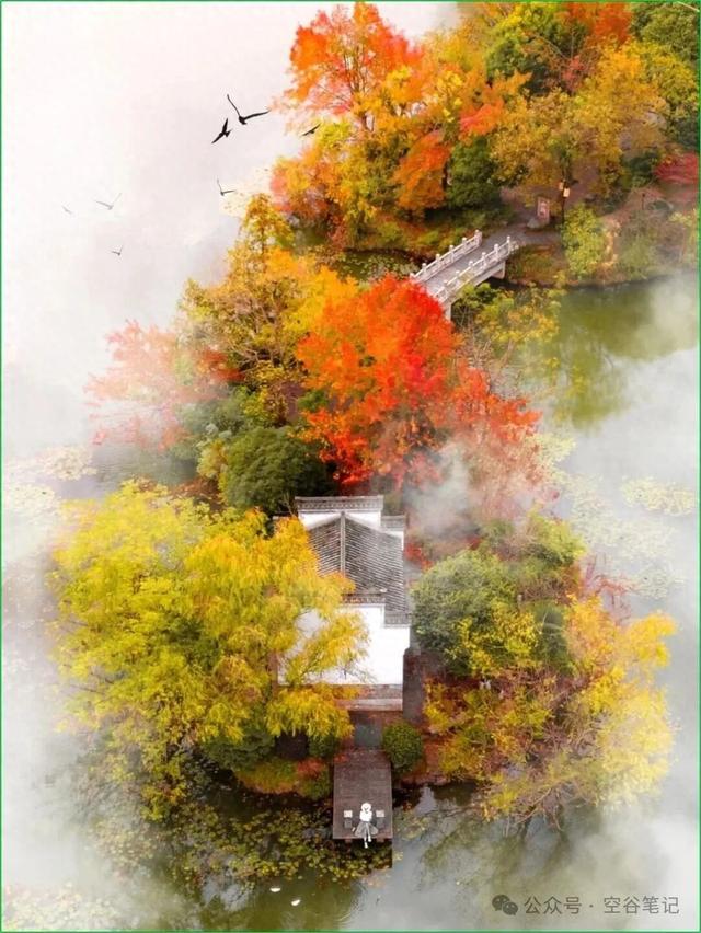 永泉小镇秋色美