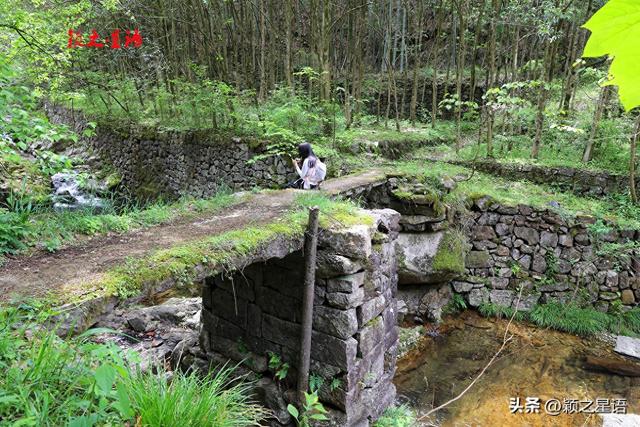 姜家山遗址，宁波的徒步天堂
