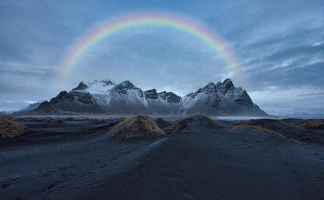 蚊子首次入侵冰岛！最后的堡垒已经陷落？究竟是什么品种？
