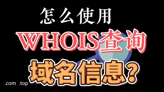 查询域名注册者联系方式的方法（域名信息查询全攻略）