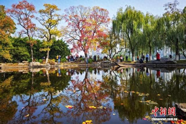 秋景迷人眼 南京莫愁湖色彩斑斓诗意浓