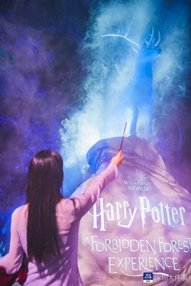 禁忌森林攻略（高度还原魔法禁林哈利·波特禁忌森林体验正式开放）