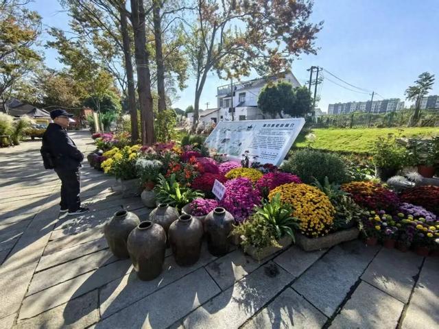 这条老街，又要爆火了！