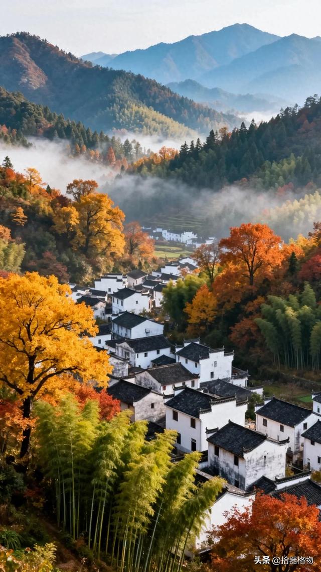 秋日私语:邂逅一场被时光遗忘的斑斓