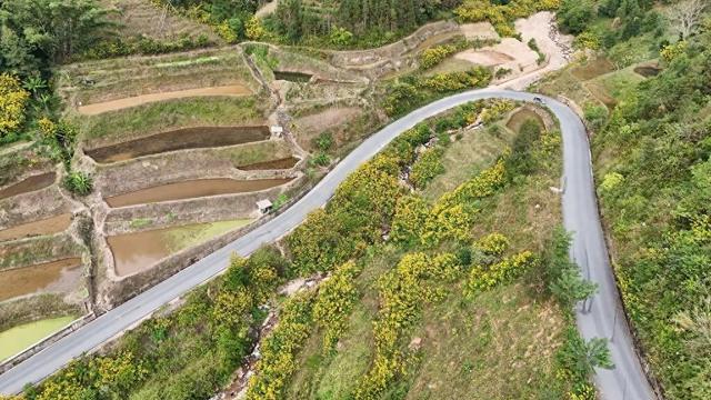 累了！就到这条路上走走，它也许是你逃离喧嚣的“心灵驿站”