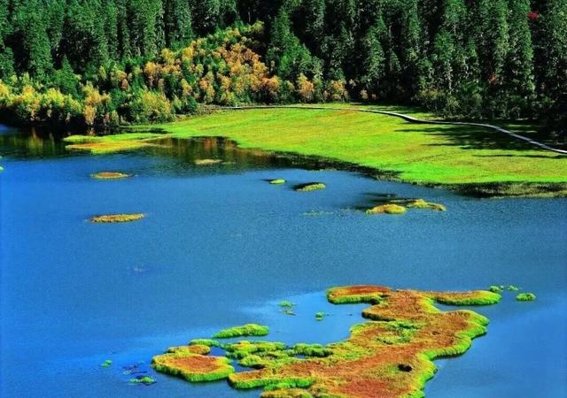 香格里拉国家公园候选区生态环境持续向好