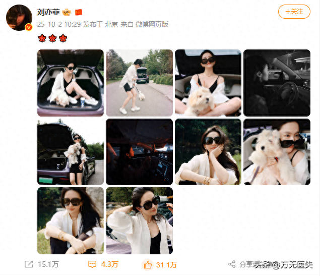 刘亦菲国庆自驾新动态！新车新狗有寓意，目的地引8000万网友竞猜