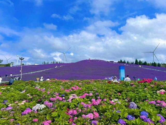 贵州高质量发展“十四五”规划 | 旅游吸引力持续提升!花溪年迎客量将突破3500万大关