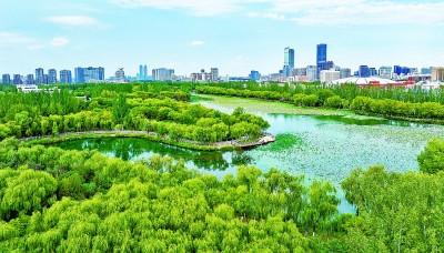湖城美景