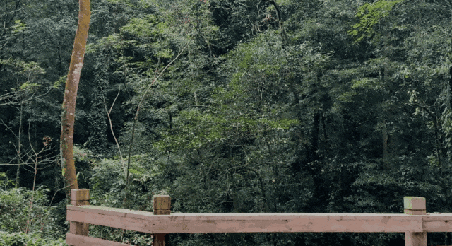 青城山｜与自然对话的日与夜。