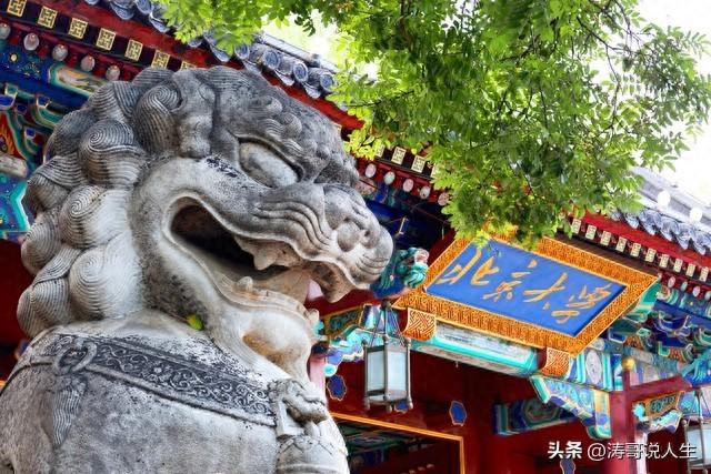 上大学为了什么（上大学）