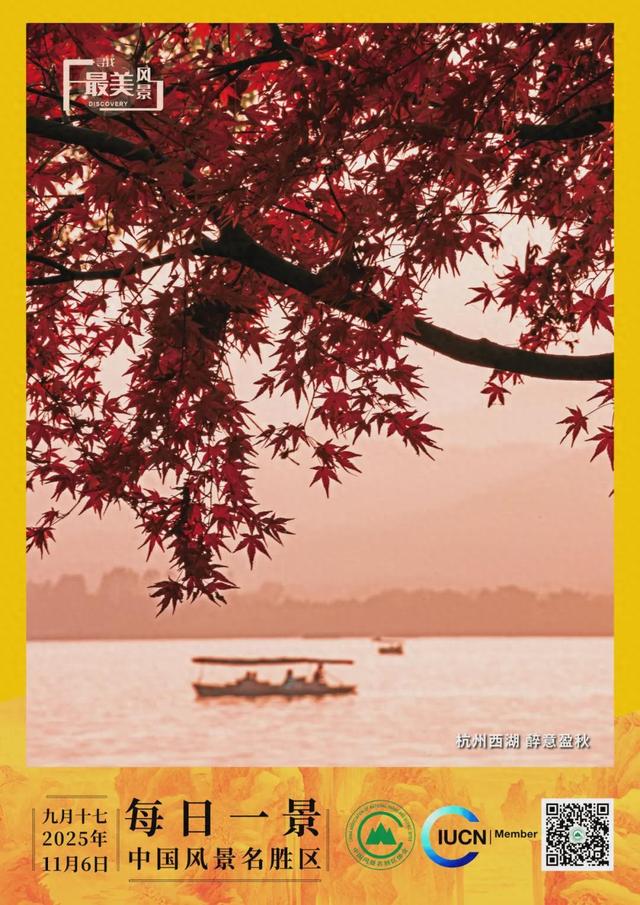 每日一景 | 杭州西湖 醉意盈秋
