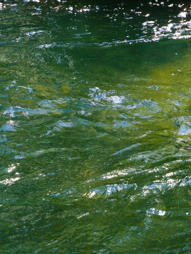 人类为何迷恋万物 ​