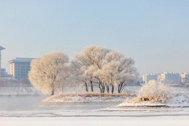 冬日画卷！吉林绝美雾凇上线