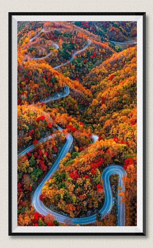 自驾推荐：浙江·四明山盘山公路 - 江南的“秋名山”之旅