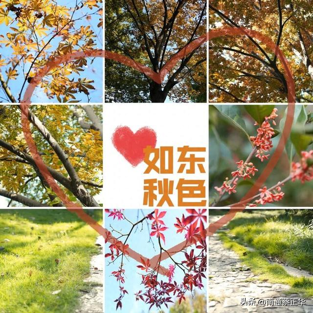 如东的秋天，都藏在这里了→