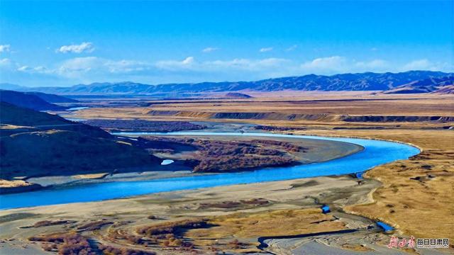 黄河两岸染金色 玛曲草原秋韵浓