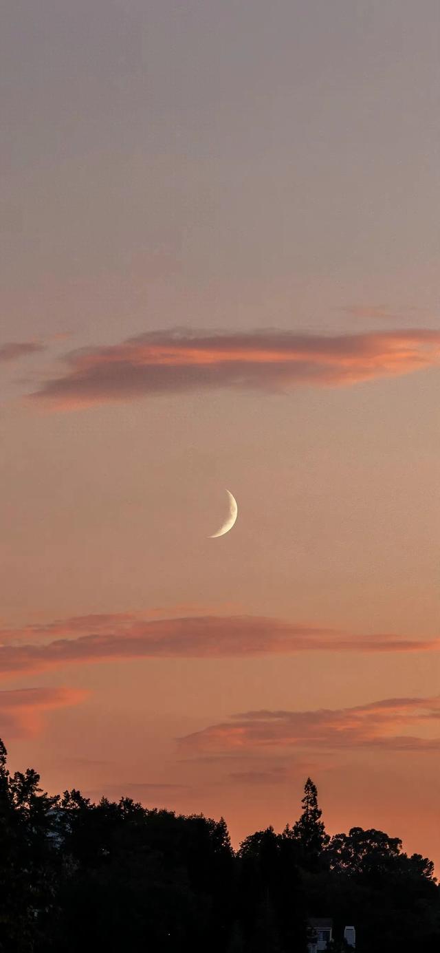 今日份的壁纸已送达